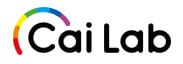 CAILAB